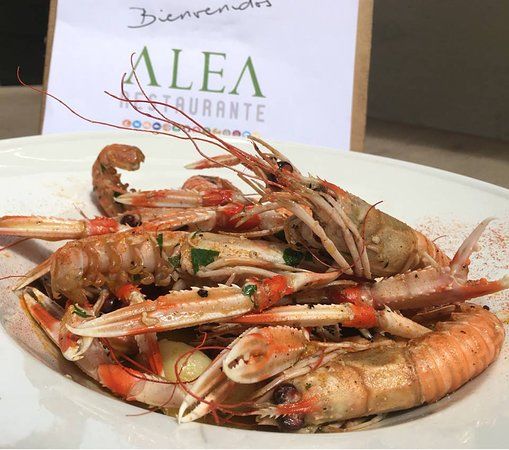Alea